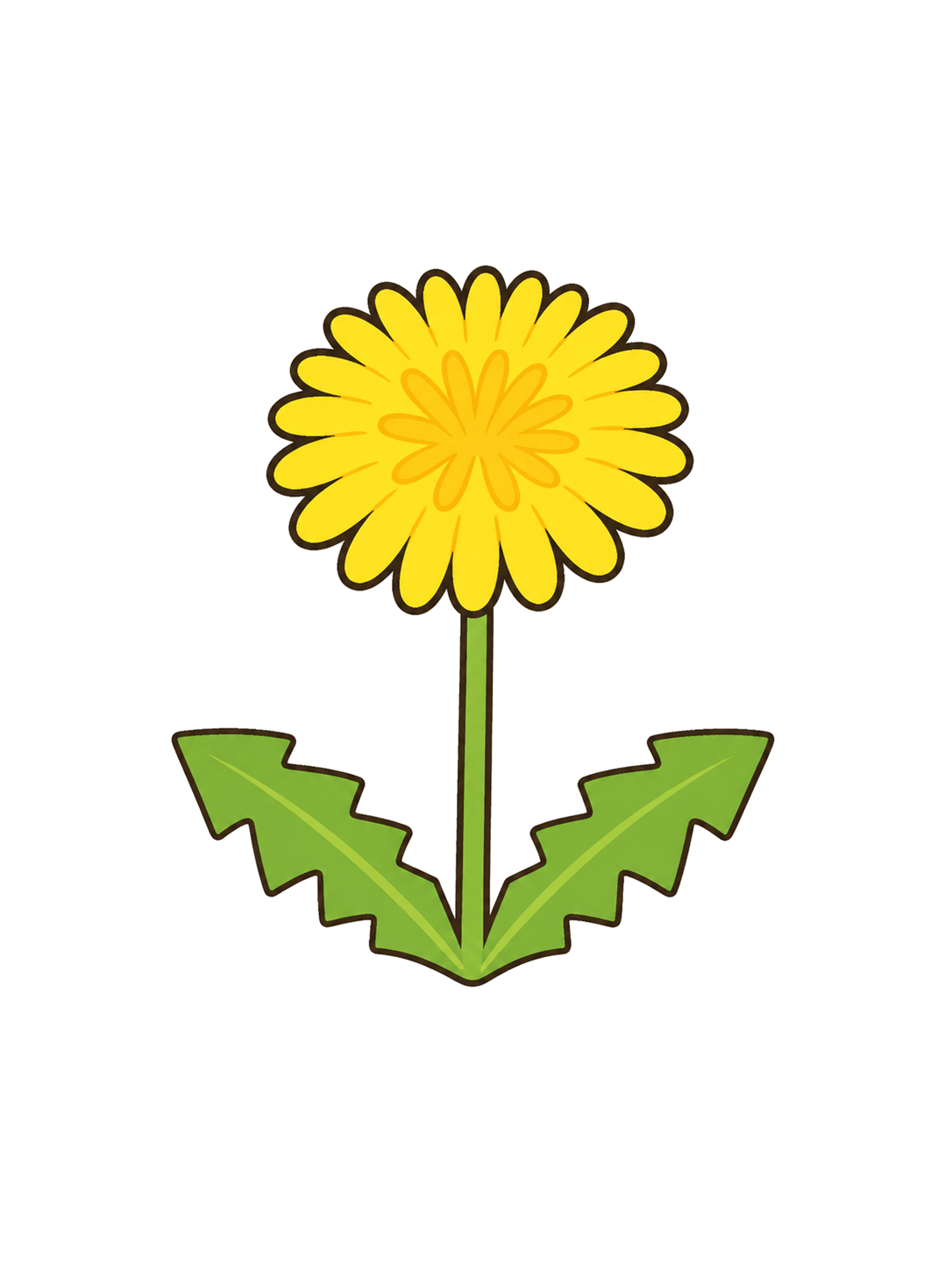 Illustration of a yellow dandelion with jagged green leaves