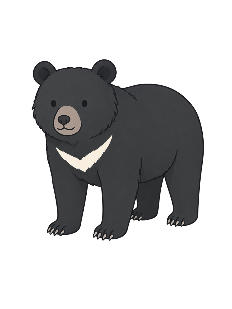 Bear