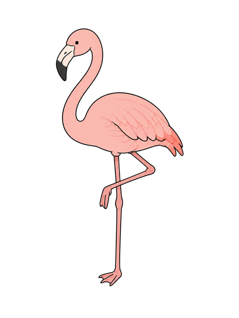Flamingo