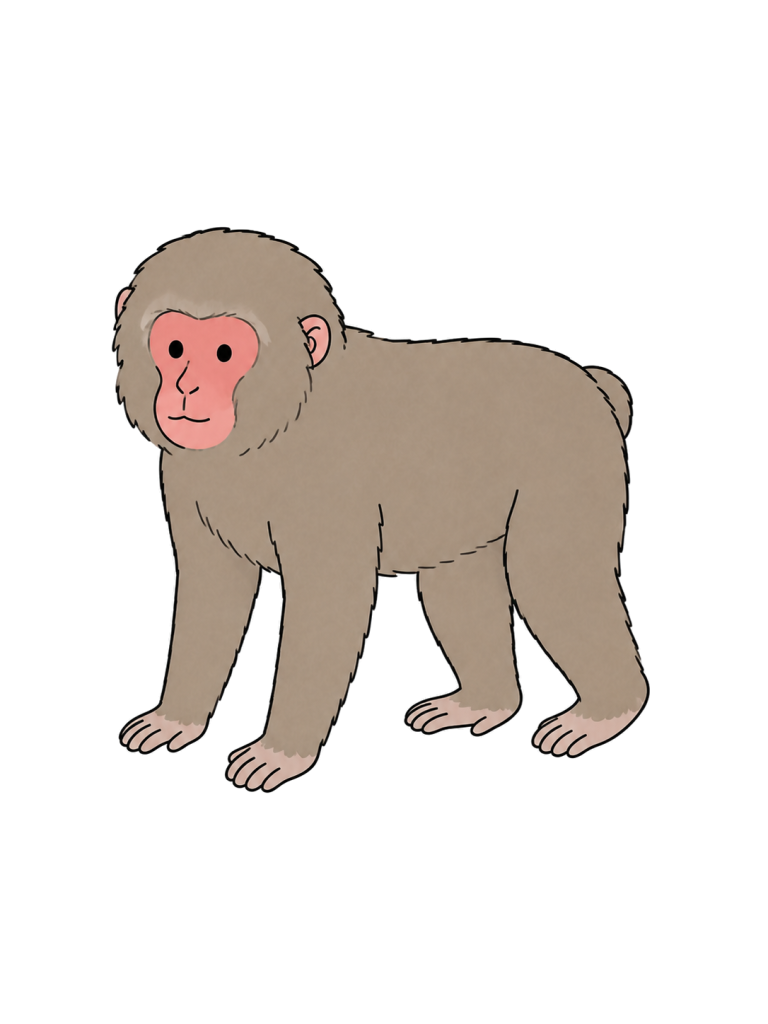 サルの全身イラスト