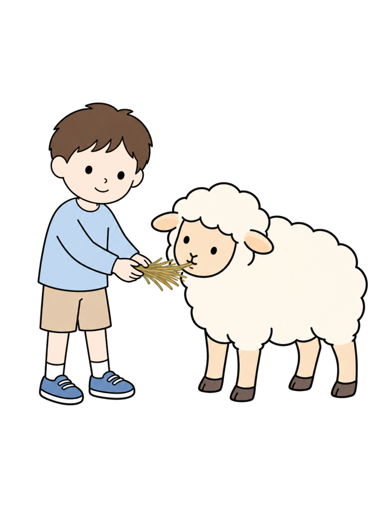 A child offers hay to a sheep.