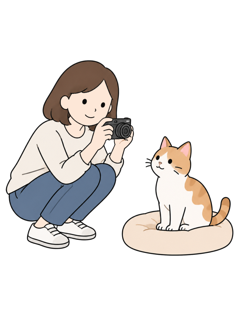 Staff member photographing a rescued cat for adoption